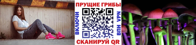 Псилоцибиновые грибы MAGIC MUSHROOMS  Купить закладки  Новый Оскол 